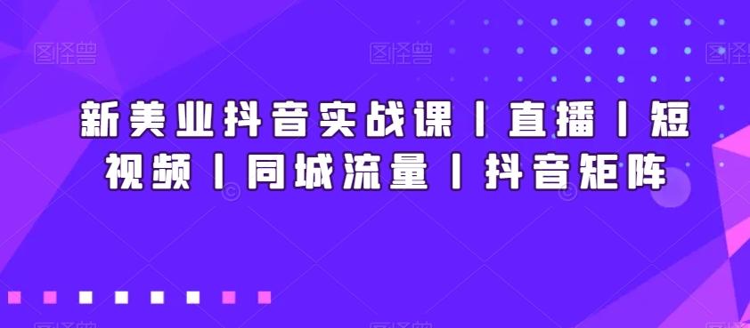 新美业抖音实战课丨直播丨短视频丨同城流量丨抖音矩阵-巅峰资源网