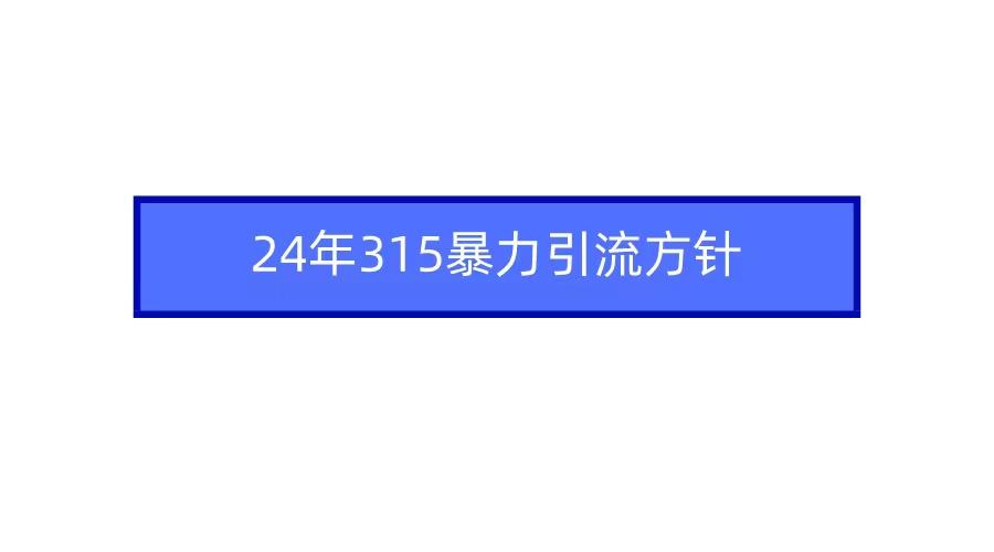 (9398期)2024年315暴力引流方针-巅峰资源网