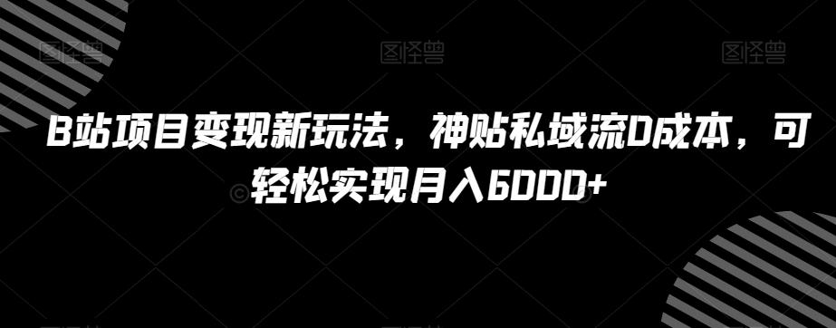 B站项目变现新玩法，神贴私域流0成本，可轻松实现月入6000+【揭秘】-巅峰资源网