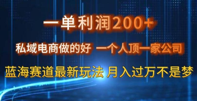 一单利润200私域电商做的好，一个人顶一家公司蓝海赛道最新玩法【揭秘】-巅峰资源网
