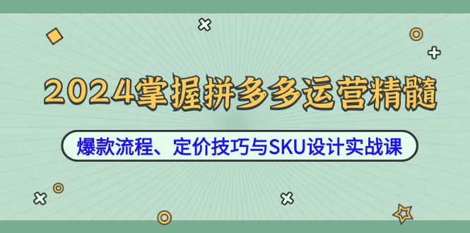 2024掌握拼多多运营精髓：爆款流程、定价技巧与SKU设计实战课-巅峰资源网