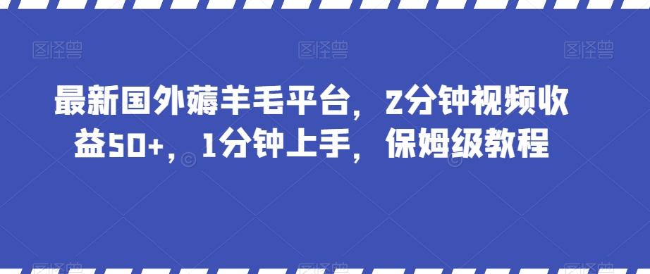 最新国外薅羊毛平台，2分钟视频收益50+，1分钟上手，保姆级教程【揭秘】-巅峰资源网