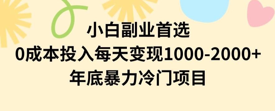 小白副业首选，0成本投入，每天变现1000-2000年底暴力冷门项目【揭秘】-巅峰资源网