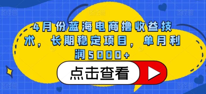 4月份蓝海电商撸收益技术，长期稳定项目，单月利润5000+【揭秘】-巅峰资源网