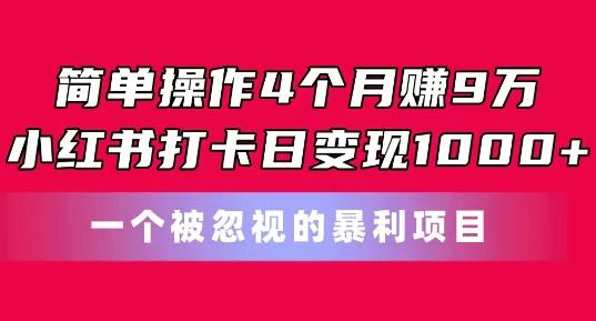 简单操作4个月赚9w，小红书打卡日变现1k，一个被忽视的暴力项目【揭秘】-巅峰资源网