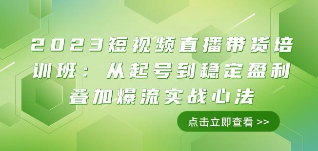 2023短视频直播带货培训班：从起号到稳定盈利叠加爆流实战心法（11节课）-巅峰资源网