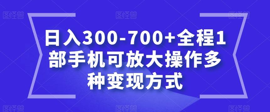 日入300-700+全程1部手机可放大操作多种变现方式【揭秘】-巅峰资源网