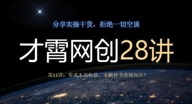 才霄网创28讲第11讲：零成本高收益，无脑抄书变现玩法！-巅峰资源网