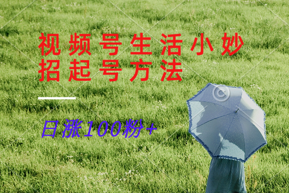 视频号生活小妙招分享赛道， 起号涨粉新方法，日涨100粉-巅峰资源网