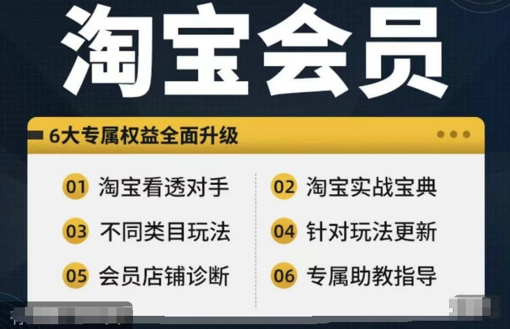 淘宝会员【淘宝所有课程，全面分析对手】，初级到高手全系实战宝典-巅峰资源网