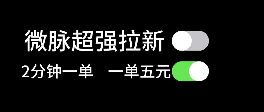 微脉超强拉新， 两分钟1单， 一单利润5块，适合小白-巅峰资源网