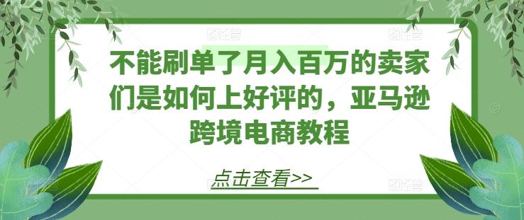 不能刷单了月入百万的卖家们是如何上好评的，亚马逊跨境电商教程-巅峰资源网