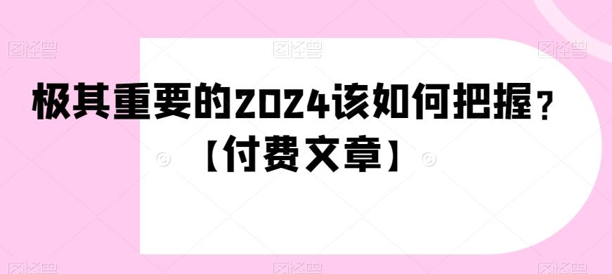 极其重要的2024该如何把握？【付费文章】-巅峰资源网