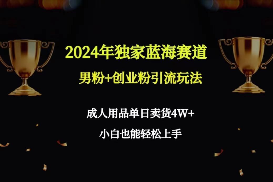 2024年独家蓝海赛道男粉+创业粉引流玩法，成人用品单日卖货4W+保姆教程-巅峰资源网