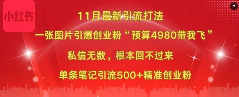 小红书11月最新图片打粉，一张图片引爆创业粉，“预算4980带我飞”，单条引流500+精准创业粉-巅峰资源网