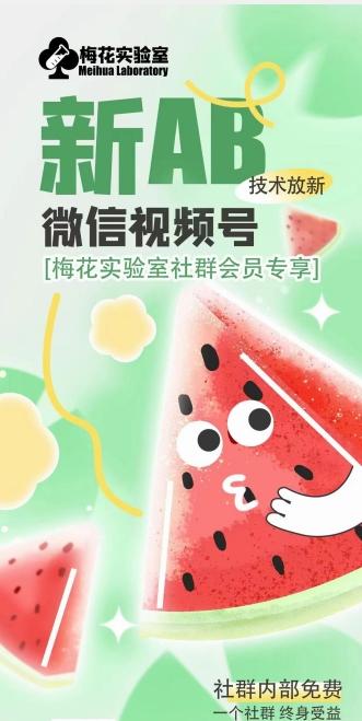 梅花实验室2024年AB技术视频号AB合成破解版-巅峰资源网
