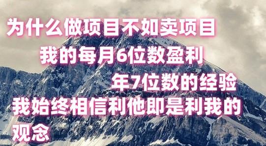 做项目不如卖项目，每月6位数盈利，年7位数经验-巅峰资源网