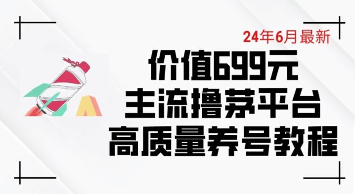 6月最新价值699的主流撸茅台平台精品养号下车攻略【揭秘】-巅峰资源网