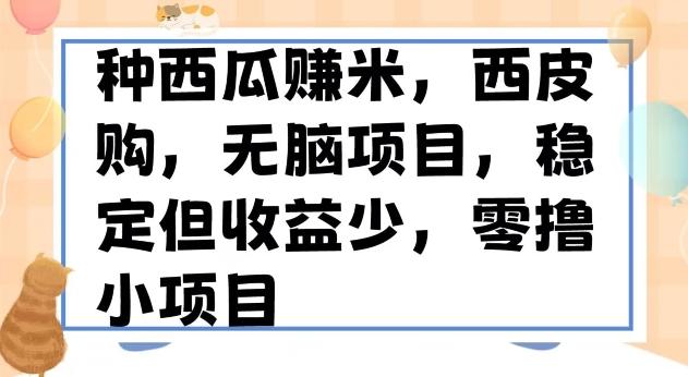 种西瓜赚米，西皮购稳定长久零撸小项目-巅峰资源网