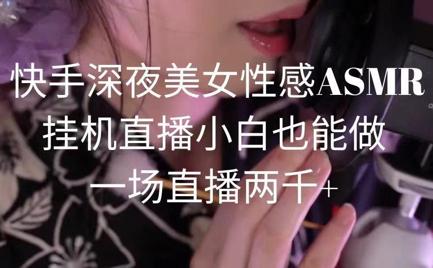 快手深夜美女性感ASMR挂机直播，小白也能做，一场直播两千+-巅峰资源网