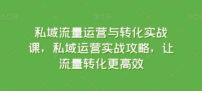 私域流量运营与转化实战课，私域运营实战攻略，让流量转化更高效-巅峰资源网
