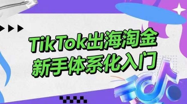 TikTok出海淘金，新手体系化入门，零基础快速入门，掌握短视频、直播带货等引流到变现的知识-巅峰资源网