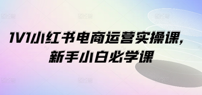 1V1小红书电商运营实操课，新手小白必学课-巅峰资源网