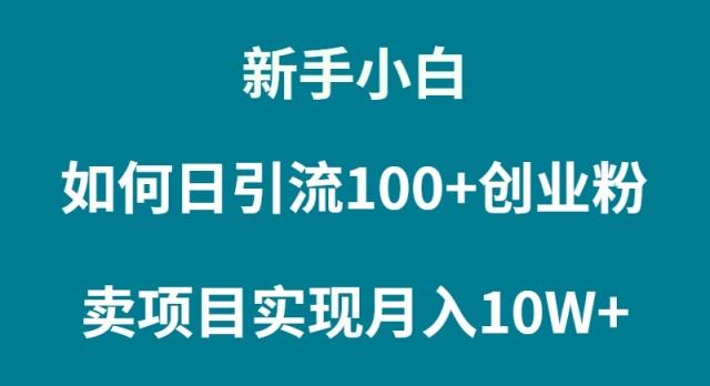 (9556期)新手小白如何通过卖项目实现月入10W+-巅峰资源网