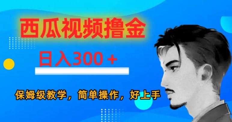 西瓜视频撸金日入300，保姆级教学，简单操作，好上手-巅峰资源网