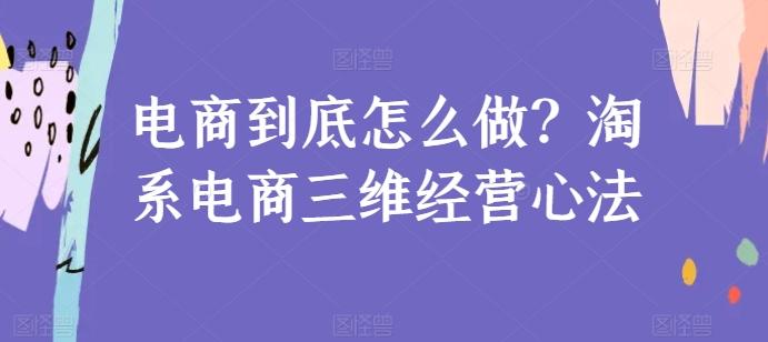 电商到底怎么做？淘系电商三维经营心法-巅峰资源网