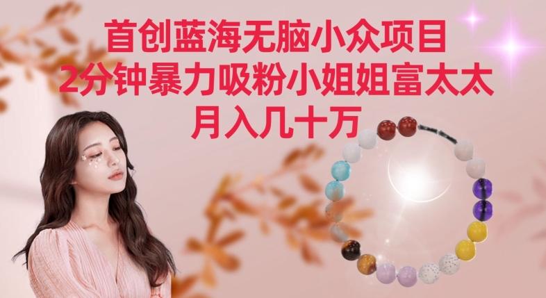 首创蓝海无脑小众项目，2分钟暴力吸粉小姐姐富太太，月入几十万【揭秘】-巅峰资源网
