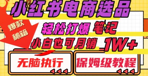 小红书电商爆款选品秘籍，帮你轻松打爆笔记，小白也可轻松月销10000+-巅峰资源网