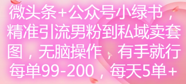 微头条+公众号小绿书，精准引流男粉到私域卖套图，无脑操作，有手就行，每单99-200，每天5单-巅峰资源网