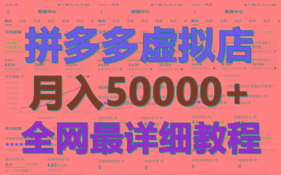 拼多多虚拟电商训练营月入50000+你也行，暴利稳定长久，副业首选-巅峰资源网