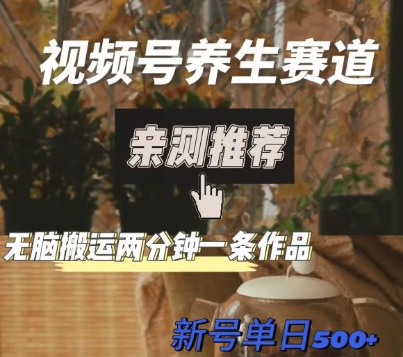 视频号养生赛道暴力掘金，无脑搬运，两分钟一条作品-新日单入500+-巅峰资源网