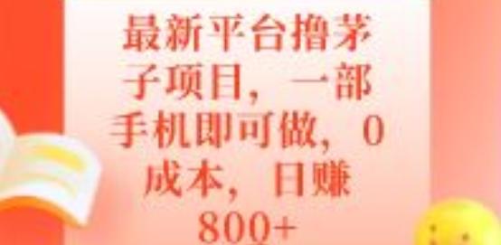 最新平台撸茅子项目，一部手机即可做，0成本，日赚800+-巅峰资源网