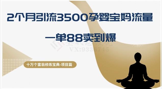 十万个富翁修炼宝典之13.2个月引流3500孕婴宝妈流量，一单88卖到爆-巅峰资源网