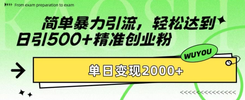 简单暴力引流，轻松达到日引500+精准创业粉，单日变现2k【揭秘】-巅峰资源网