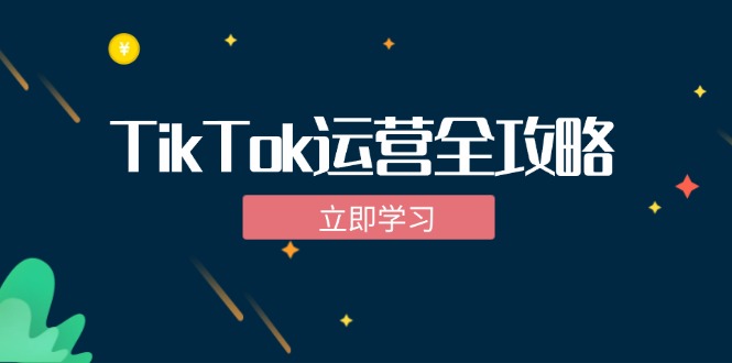 TikTok实战运营全攻略：从下载软件到变现，抖音海外版实操教程-巅峰资源网