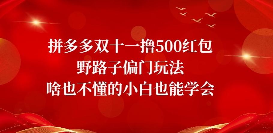 拼多多双十一撸500红包野路子偏门玩法，啥也不懂的小白也能学会【揭秘】-巅峰资源网