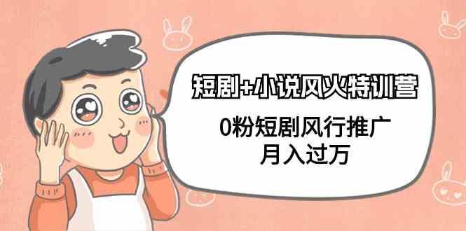 小说+短剧风火特训营，0粉短剧小说风行推广，实现月入过万-巅峰资源网